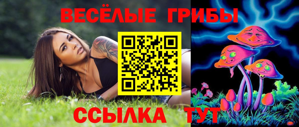Галлюциногенные грибы мухоморы Севастополь