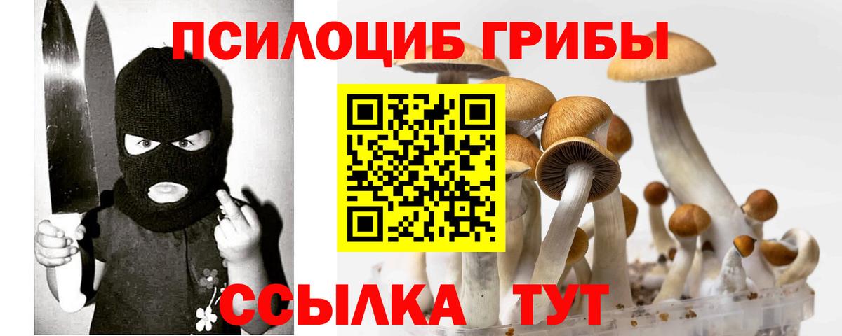 Севастополь  Галлюциногенные грибы прущие грибы  Вход с VPN 